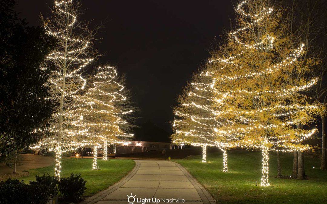 2016 Holiday Tree Wraps Down A Walkway - Light Up Nashville