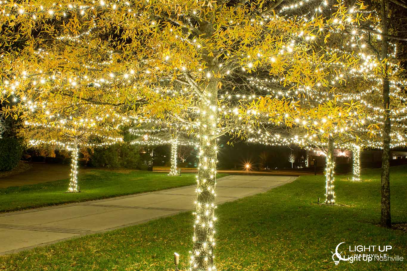 Tree Christmas Lights
