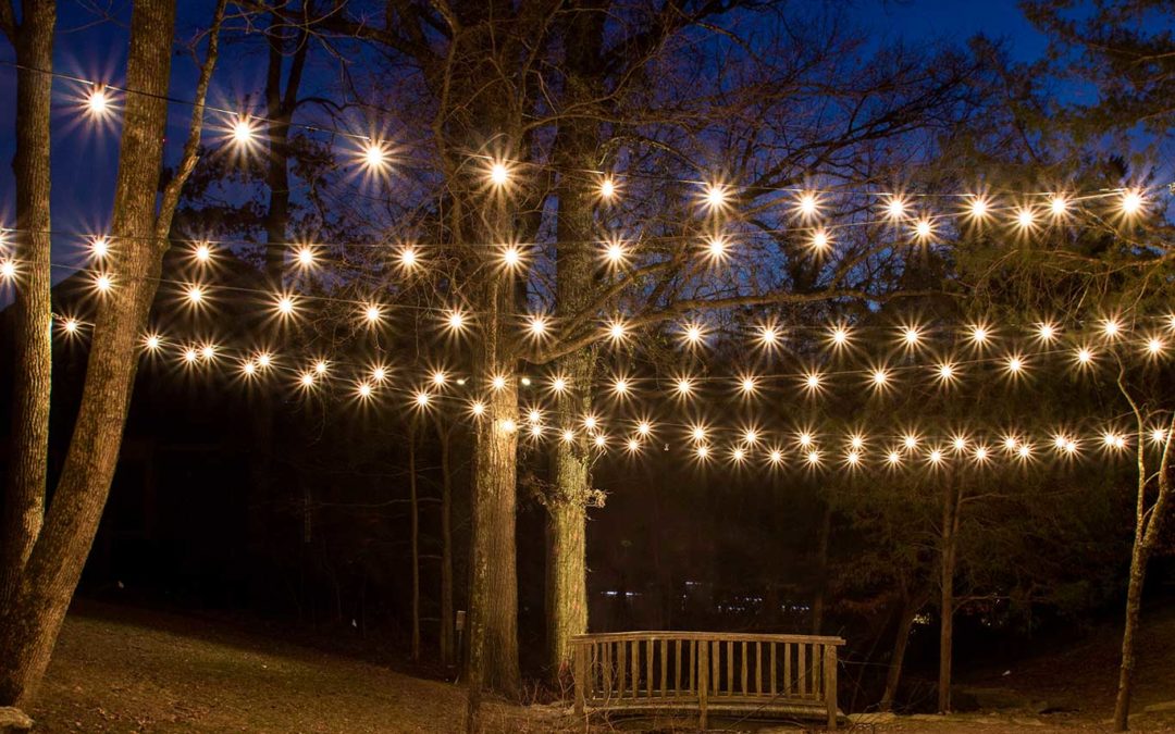 string-lights-backyard