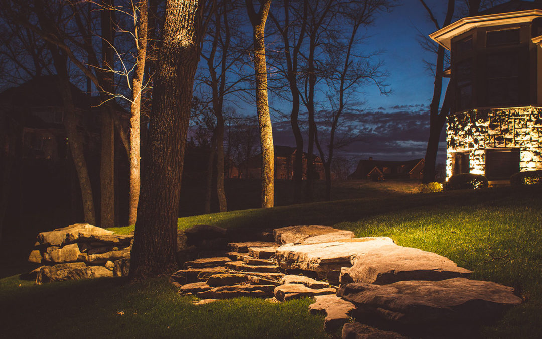 Landscape lighting in backyard