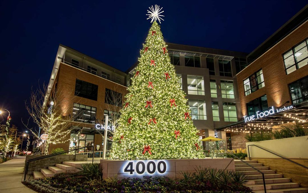 40 foot commercial christmas tree service