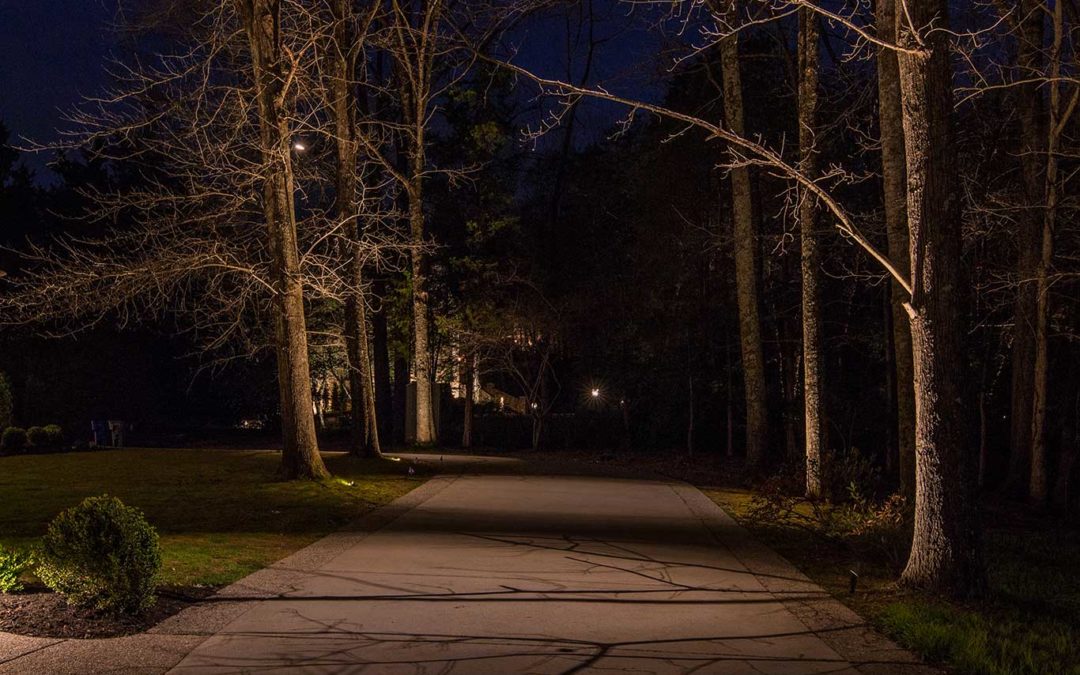 Downlighting from trees over driveway