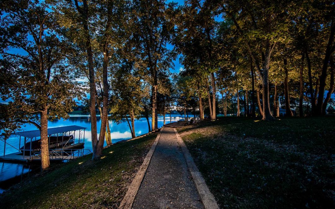 downlights in trees lighting walkway