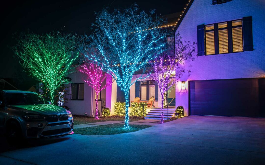 colored lights wrapping trees