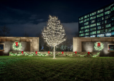 professional Christmas light installation