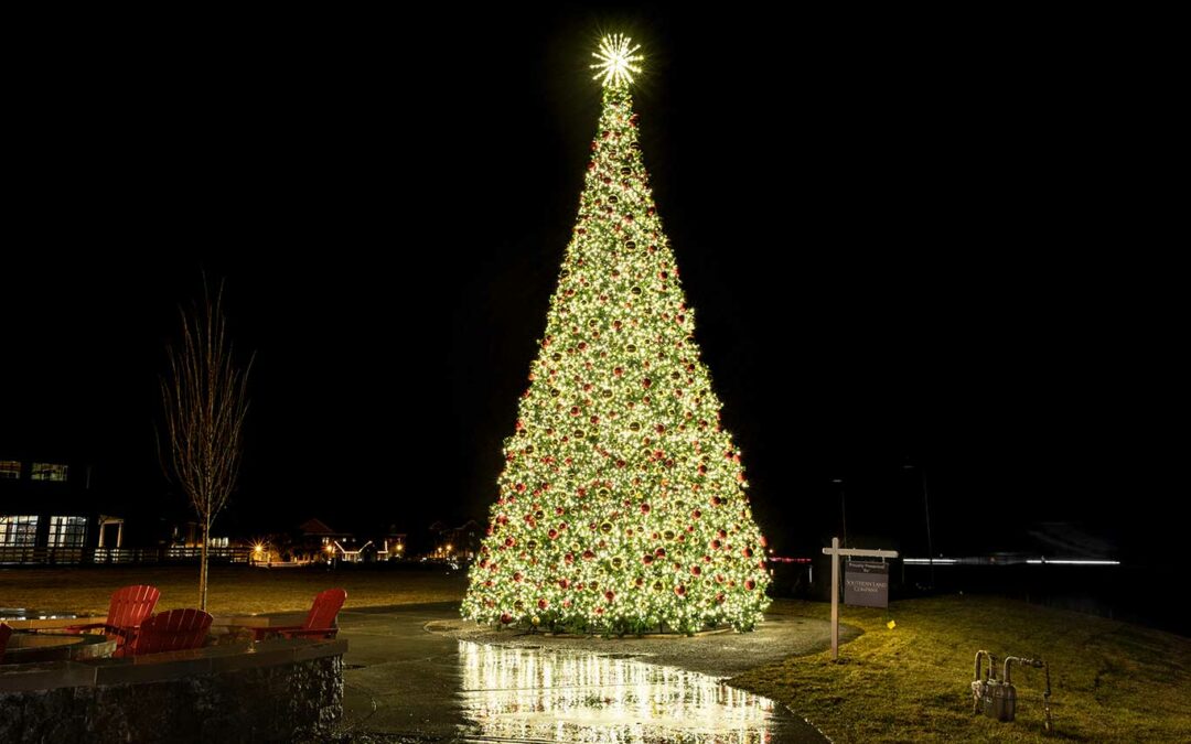 large commercial christmas tree