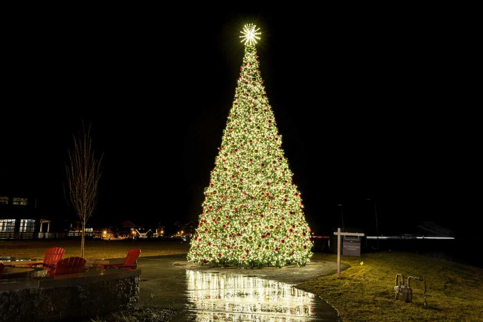 Huge Outdoor Christmas Tree at Westhaven Light Up Nashville