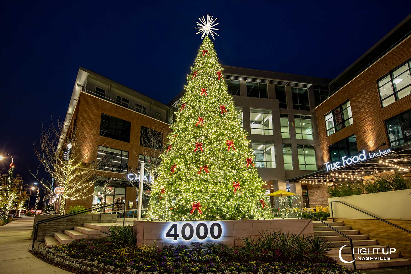 Outdoor Christmas Tree Installation