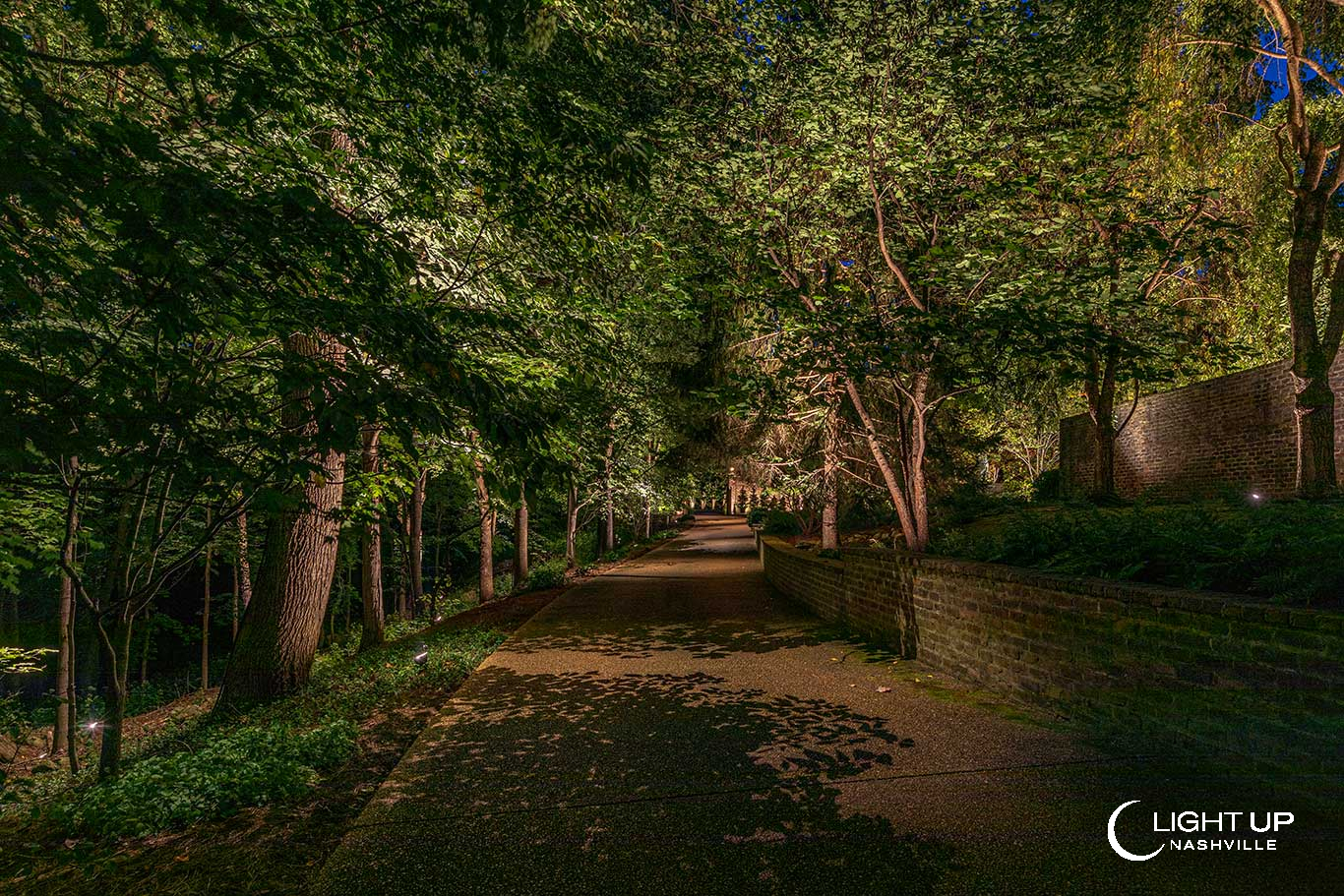 Tree Downlighting and Moonlighting