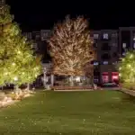 Commercial Holiday Lighting Installation