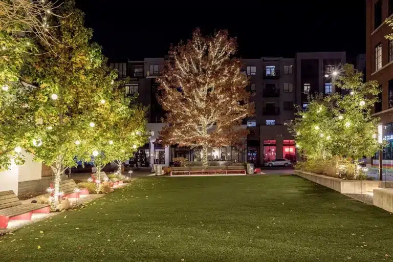 Commercial Holiday Lighting Installation